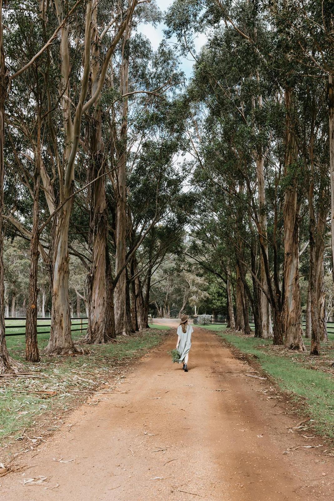 Chambre Estate Margaret River Buitenkant foto
