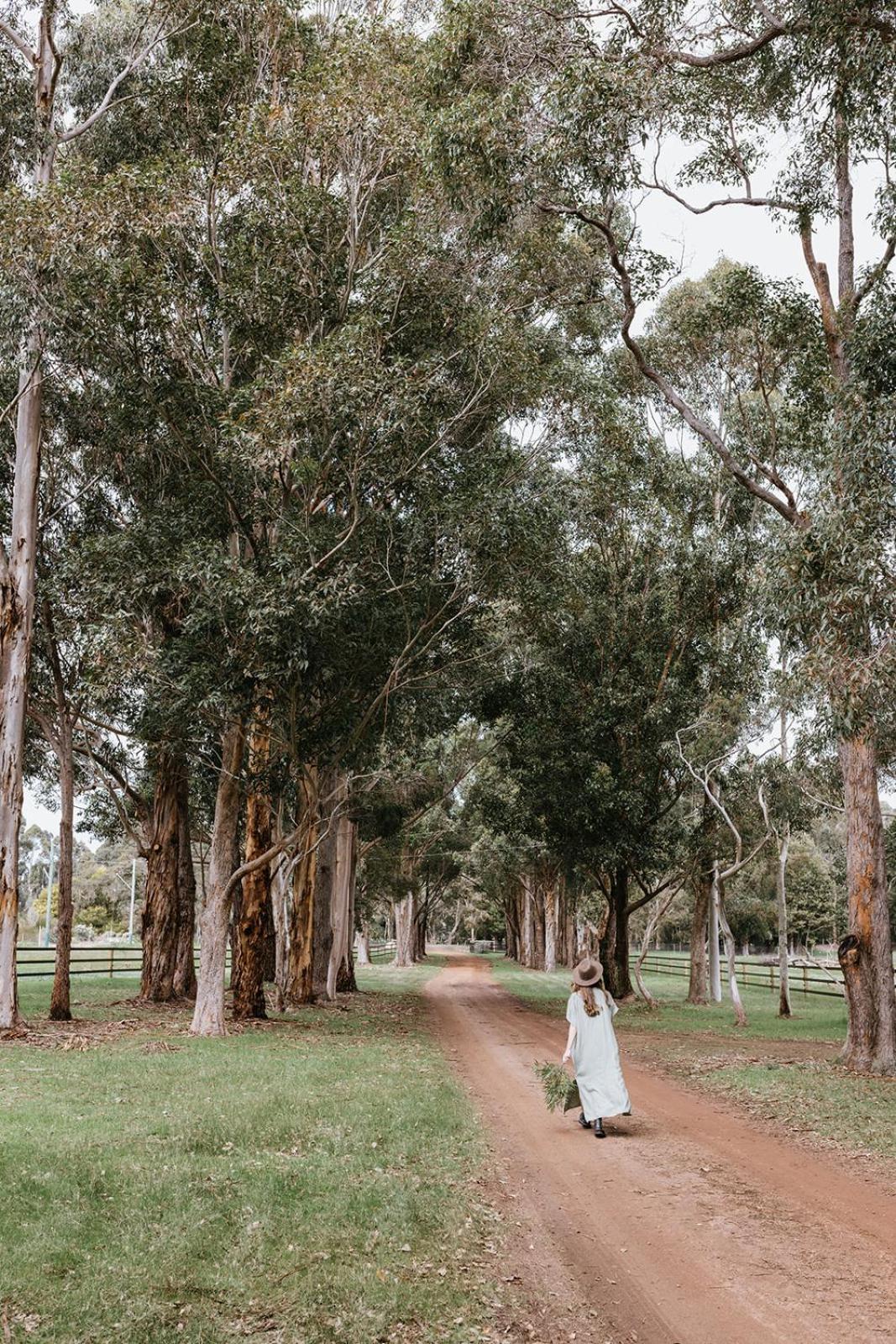Chambre Estate Margaret River Buitenkant foto